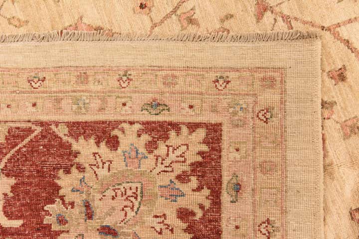 10' x 16' Hand Knotted Peshawar Ziegler Rug