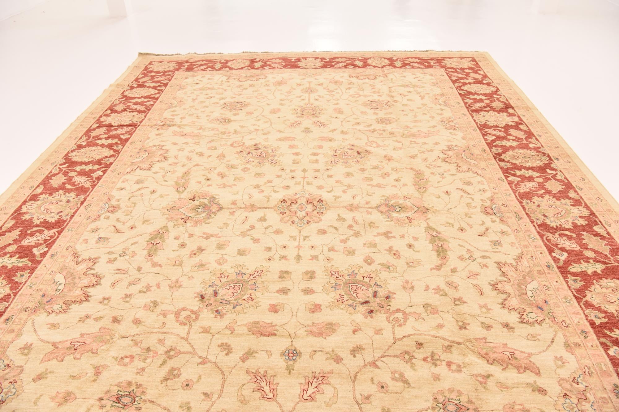 10' x 16' Hand Knotted Peshawar Ziegler Rug
