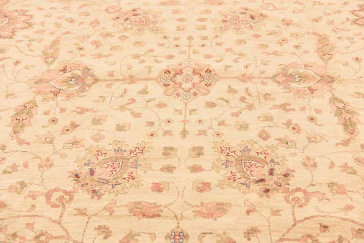 10' x 16' Hand Knotted Peshawar Ziegler Rug