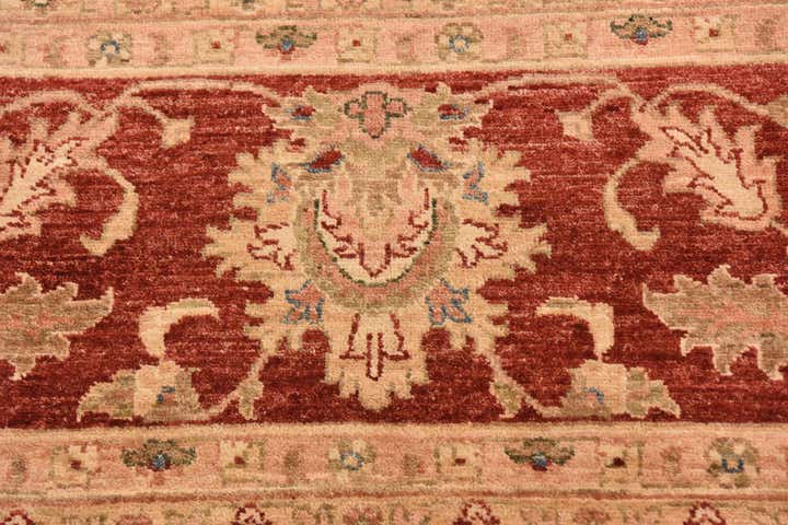 10' x 16' Hand Knotted Peshawar Ziegler Rug