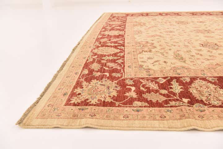 10' x 16' Hand Knotted Peshawar Ziegler Rug