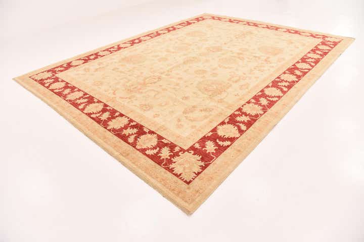 10' x 13' 7 Hand Knotted Peshawar Ziegler Rug