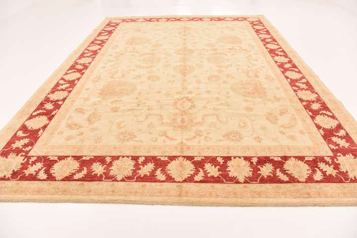 10' x 13' 7 Hand Knotted Peshawar Ziegler Rug