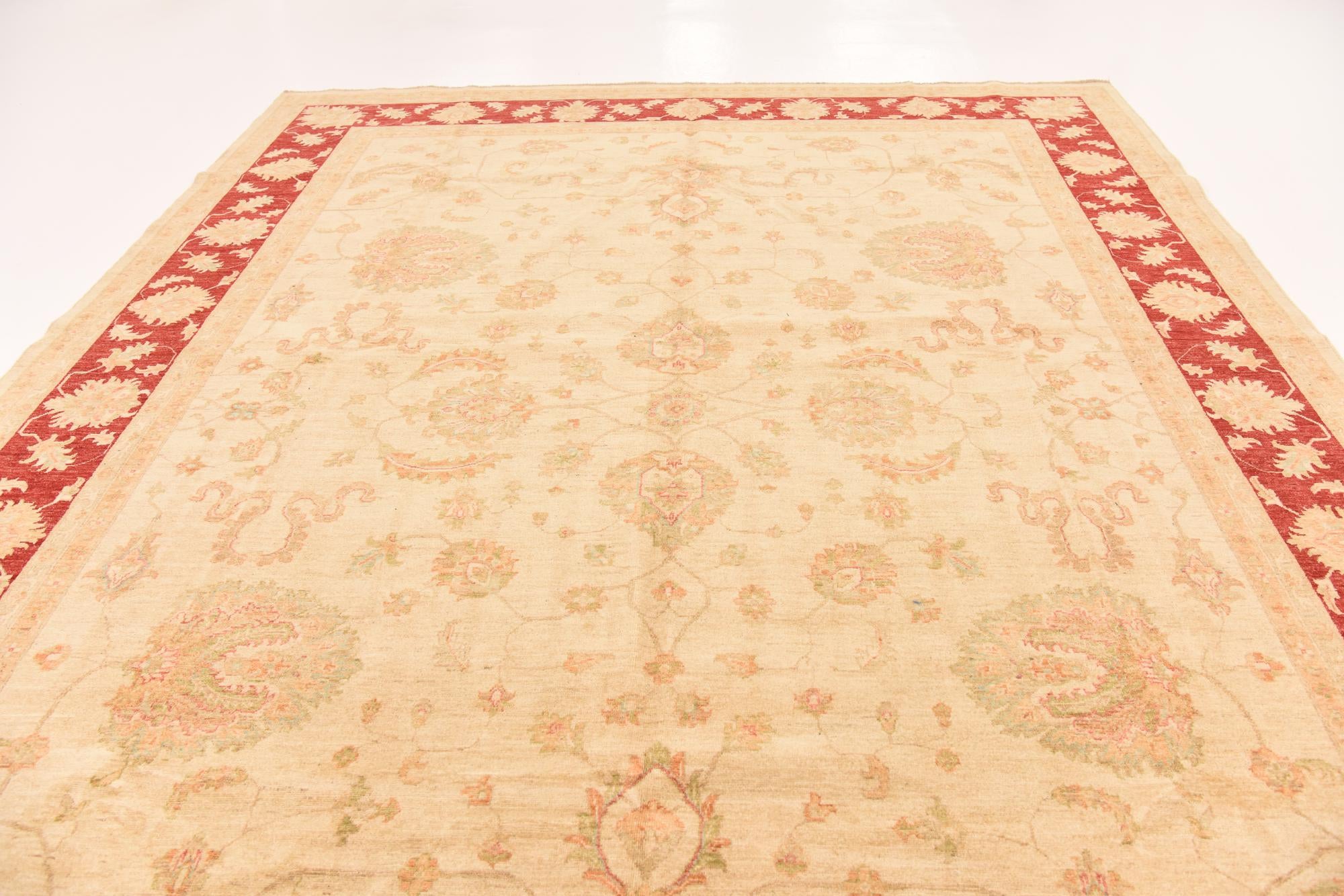 10' x 13' 7 Hand Knotted Peshawar Ziegler Rug