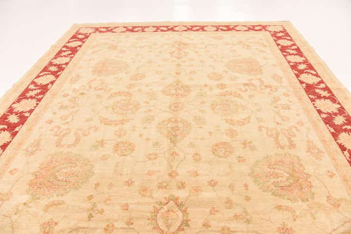 10' x 13' 7 Hand Knotted Peshawar Ziegler Rug