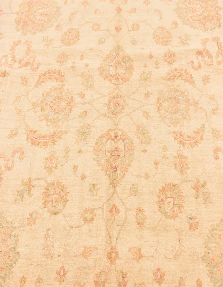 Detail image of 10' x 13' 7  Hand Knotted Peshawar Ziegler Rug