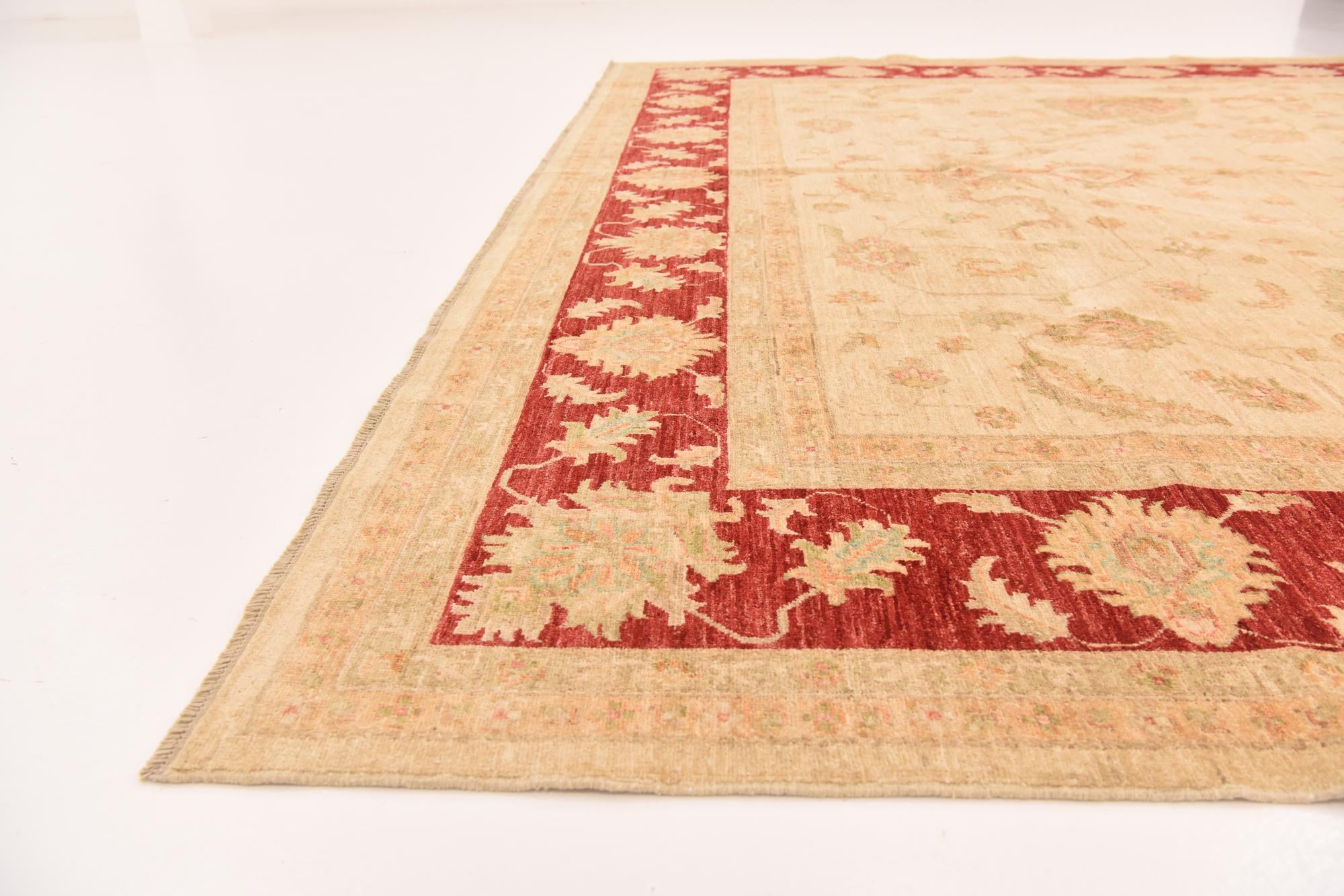 10' x 13' 7 Hand Knotted Peshawar Ziegler Rug