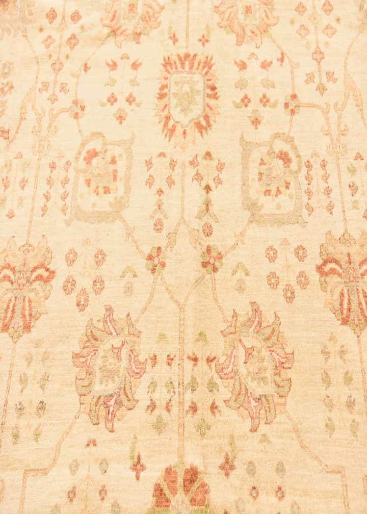 8' 4 x 9' 9 Hand Knotted Peshawar Ziegler Rug