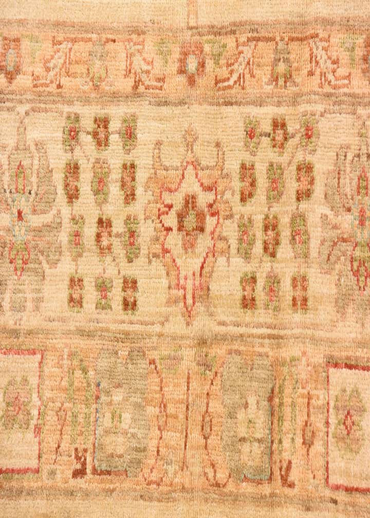 8' 4 x 9' 9 Hand Knotted Peshawar Ziegler Rug