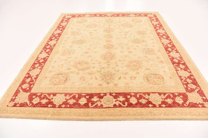 8' 2 x 9' 9 Hand Knotted Peshawar Ziegler Rug