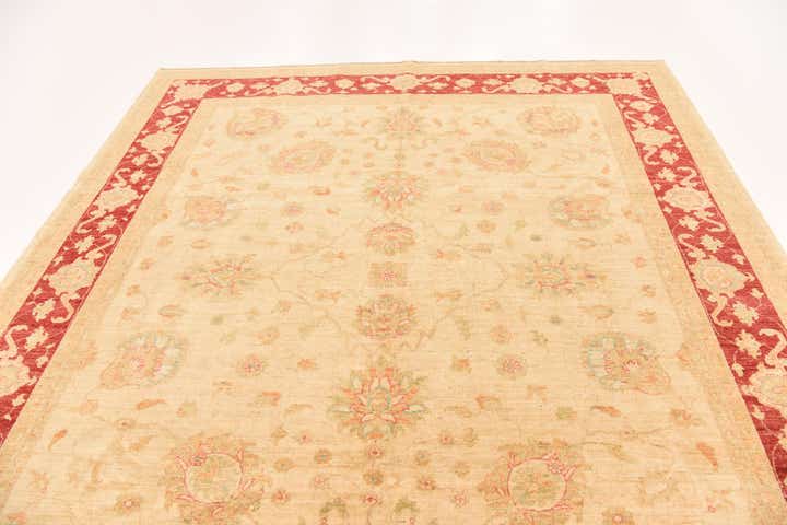 8' 2 x 9' 9 Hand Knotted Peshawar Ziegler Rug