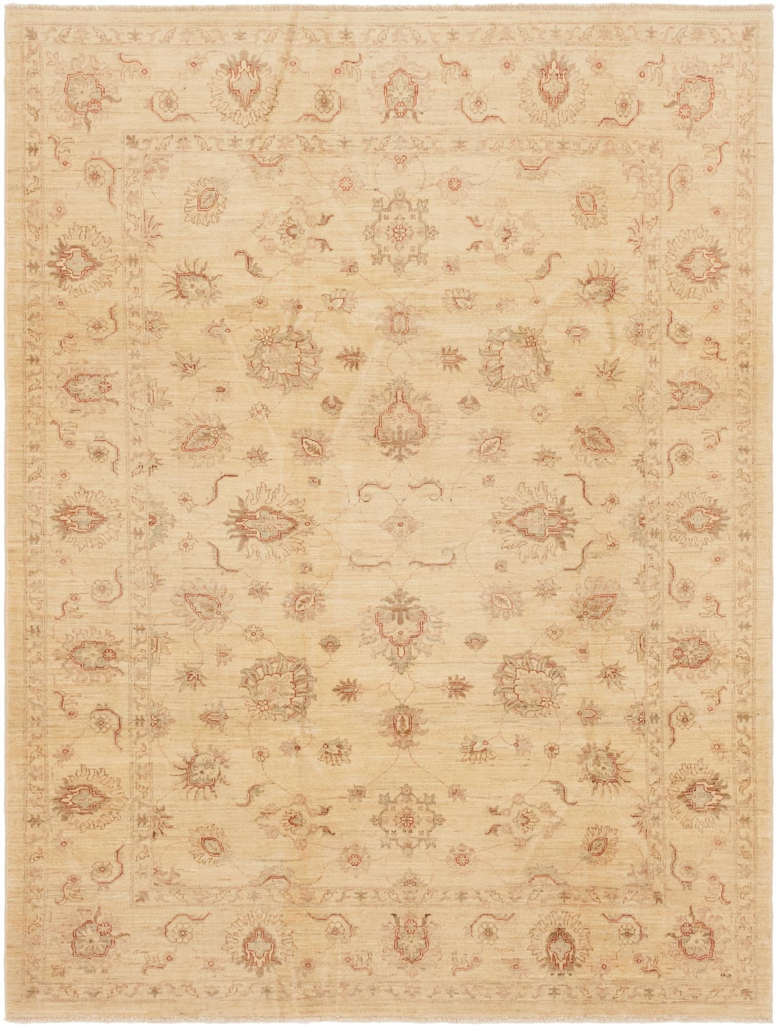 7' 1 x 9' 4 Hand Knotted Peshawar Ziegler Rug