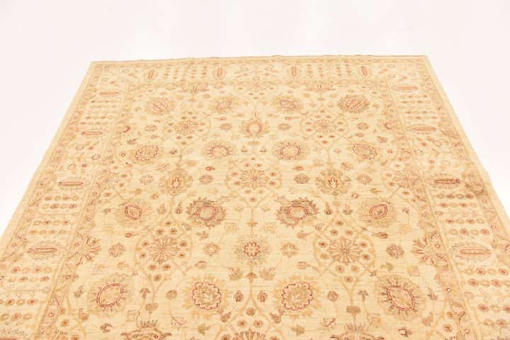 6' 1 x 9' 1 Hand Knotted Peshawar Ziegler Rug