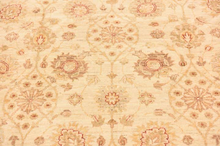 6' 1 x 9' 1 Hand Knotted Peshawar Ziegler Rug