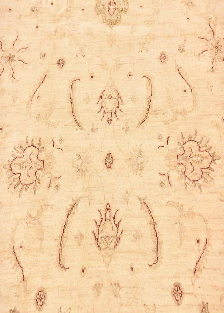 7' 2 x 9' 8 Hand Knotted Peshawar Ziegler Rug
