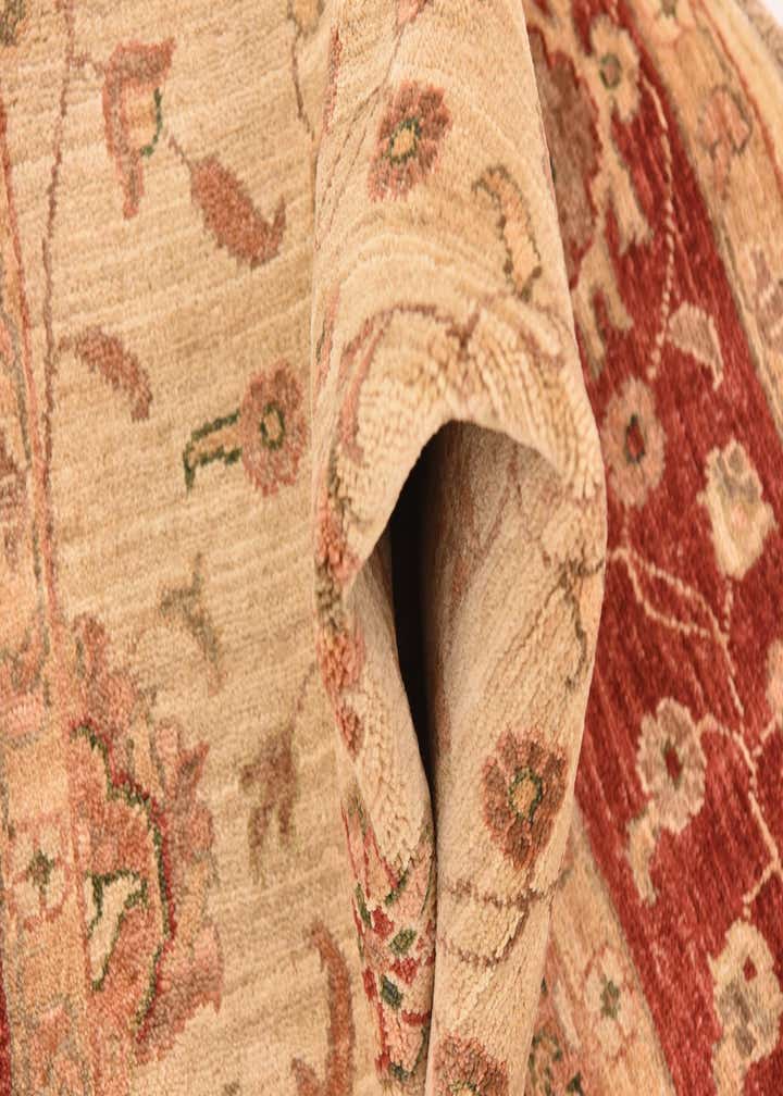 5' 1 x 6' 4 Hand Knotted Peshawar Ziegler Rug