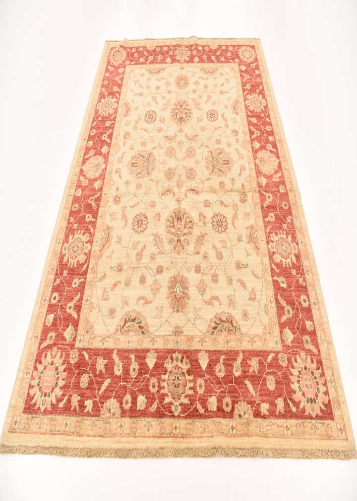 5' 1 x 6' 4 Hand Knotted Peshawar Ziegler Rug