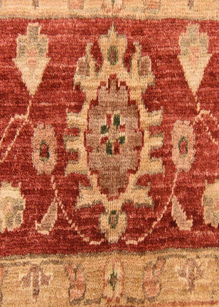 5' 1 x 6' 4 Hand Knotted Peshawar Ziegler Rug