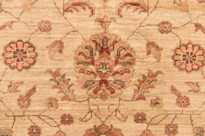 5' 1 x 6' 4 Hand Knotted Peshawar Ziegler Rug