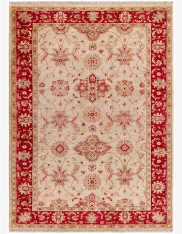 4' x 5' 7 Hand Knotted Peshawar Ziegler Rug