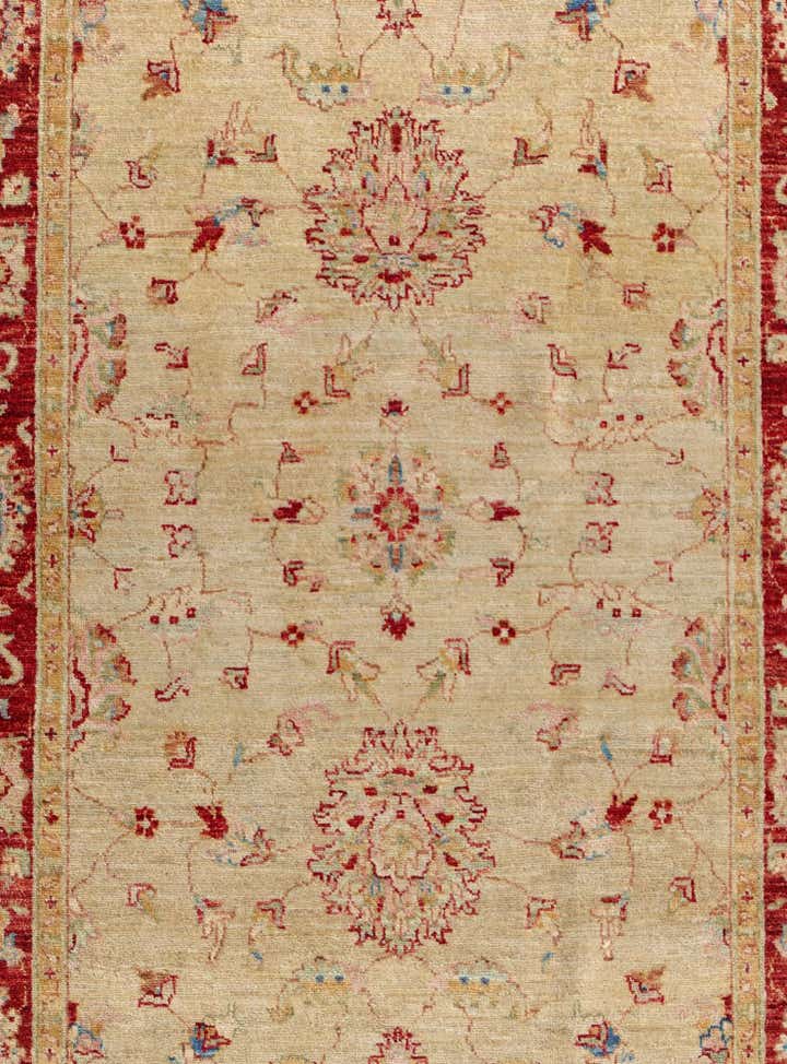 4' x 6' 8 Hand Knotted Peshawar Ziegler Rug