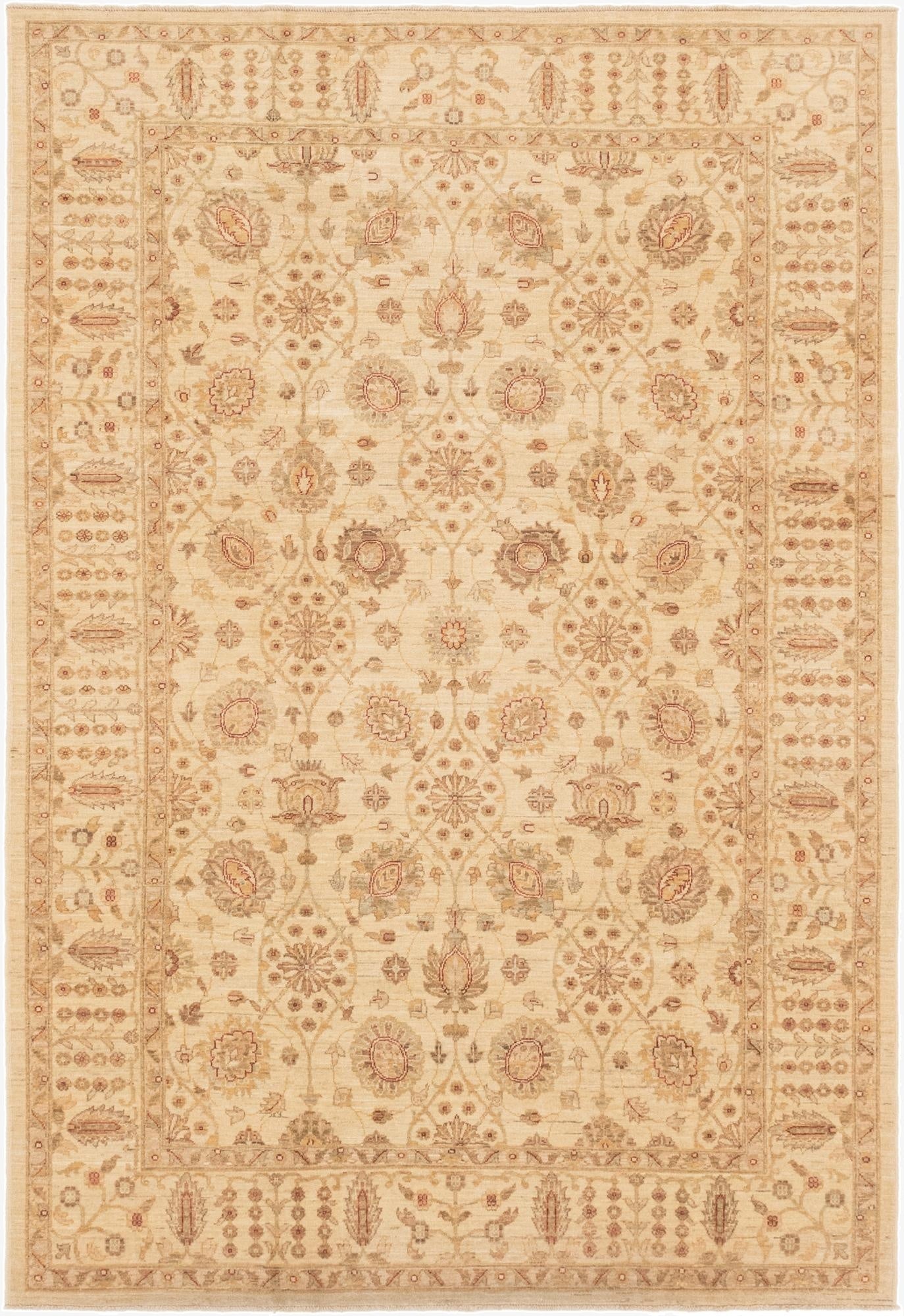 6' 1 x 9' 1  Hand Knotted Peshawar Ziegler Rug