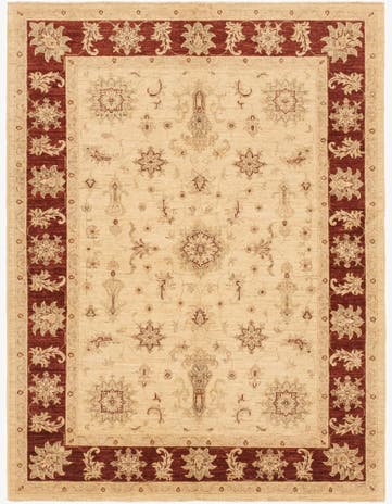 5' x 6' 7 Hand Knotted Peshawar Ziegler Rug