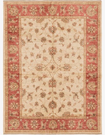 5' x 6' 7 Hand Knotted Peshawar Ziegler Rug