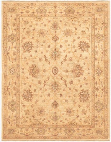 5' x 6' 6 Hand Knotted Peshawar Ziegler Rug