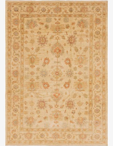 6' 9 x 9' 7 Hand Knotted Peshawar Ziegler Rug