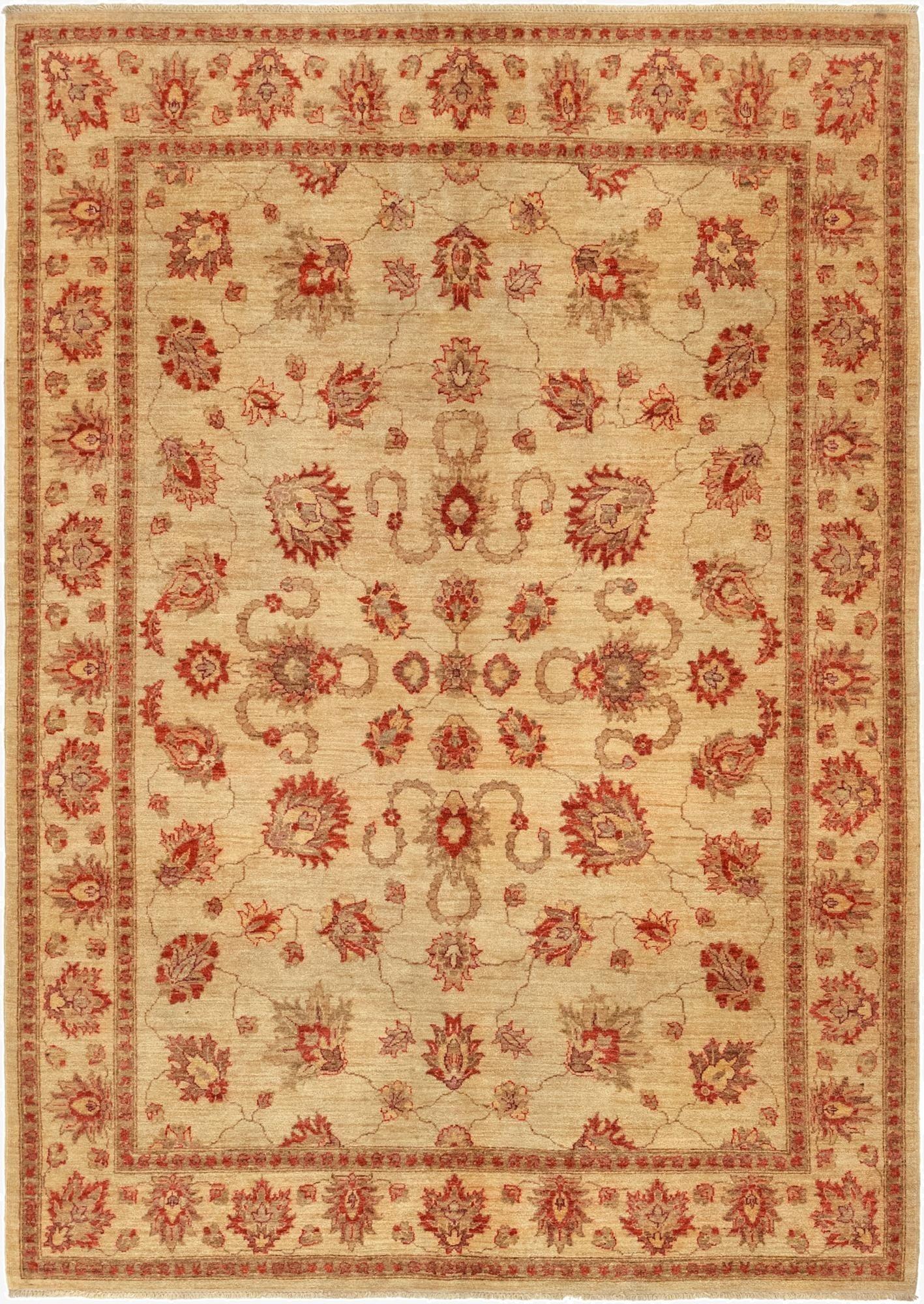 6' x 8' 3  Hand Knotted Peshawar Ziegler Rug