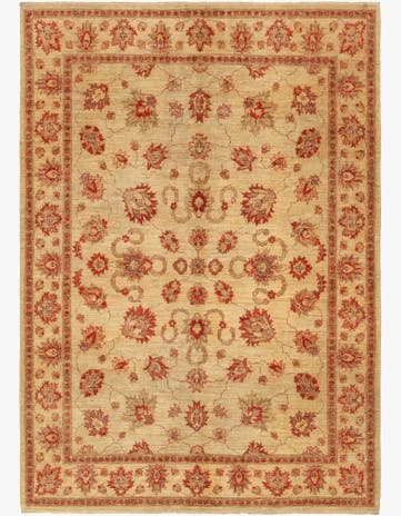 6' x 8' 3 Hand Knotted Peshawar Ziegler Rug