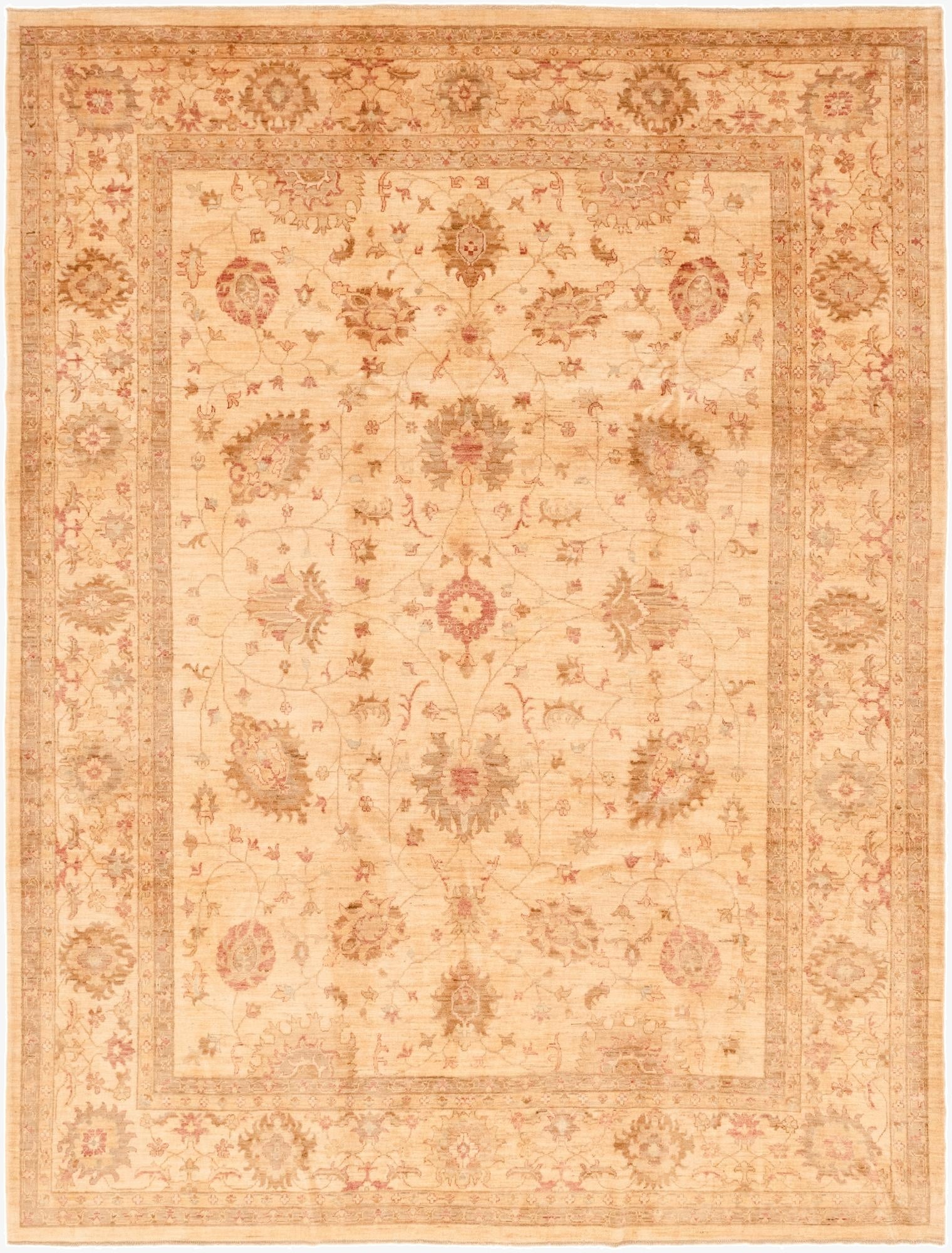 9' 2 x 11' 10  Hand Knotted Peshawar Ziegler Rug