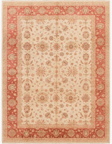 9' 9 x 12' 9 Hand Knotted Peshawar Ziegler Rug