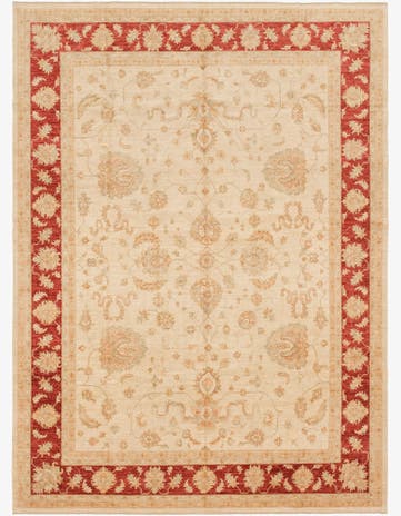 10' x 13' 7 Hand Knotted Peshawar Ziegler Rug