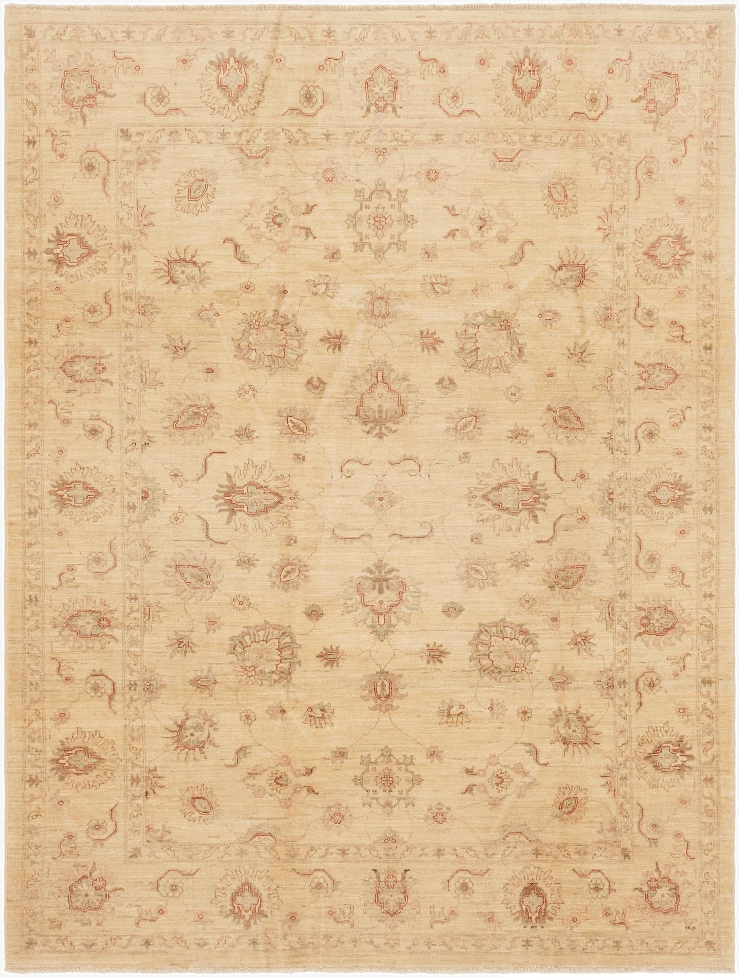 7' 1 x 9' 4  Hand Knotted Peshawar Ziegler Rug