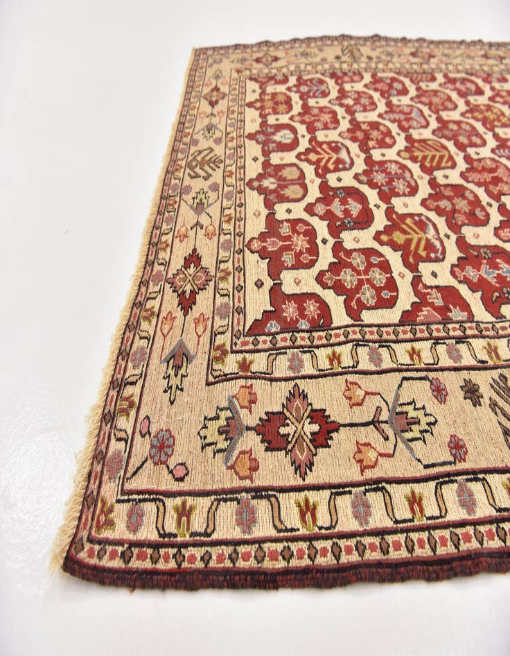 Detail image of 4' 3 x 6' 4  Hand Knotted Sirjan Persian Wool Rug