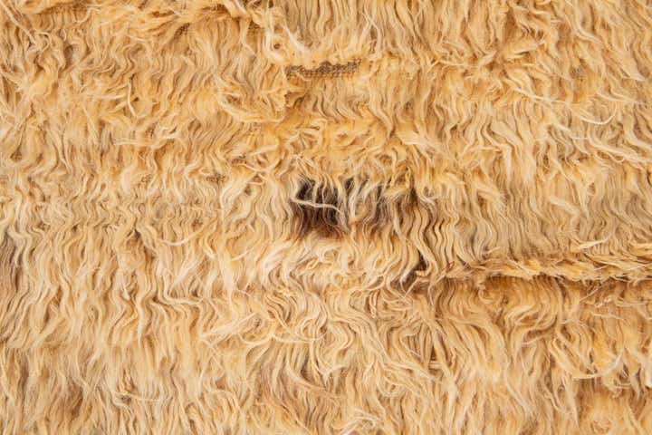 6' 7 x 9' 7 Hand Knotted Solid Shag Wool Rug