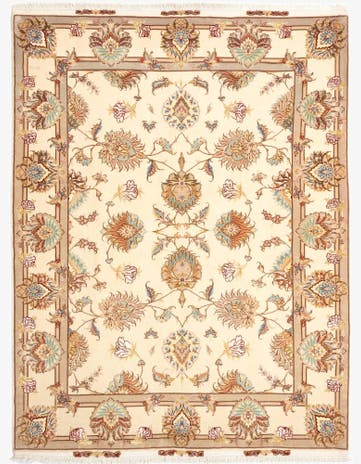 5' x 6' 10 Tabriz Rug