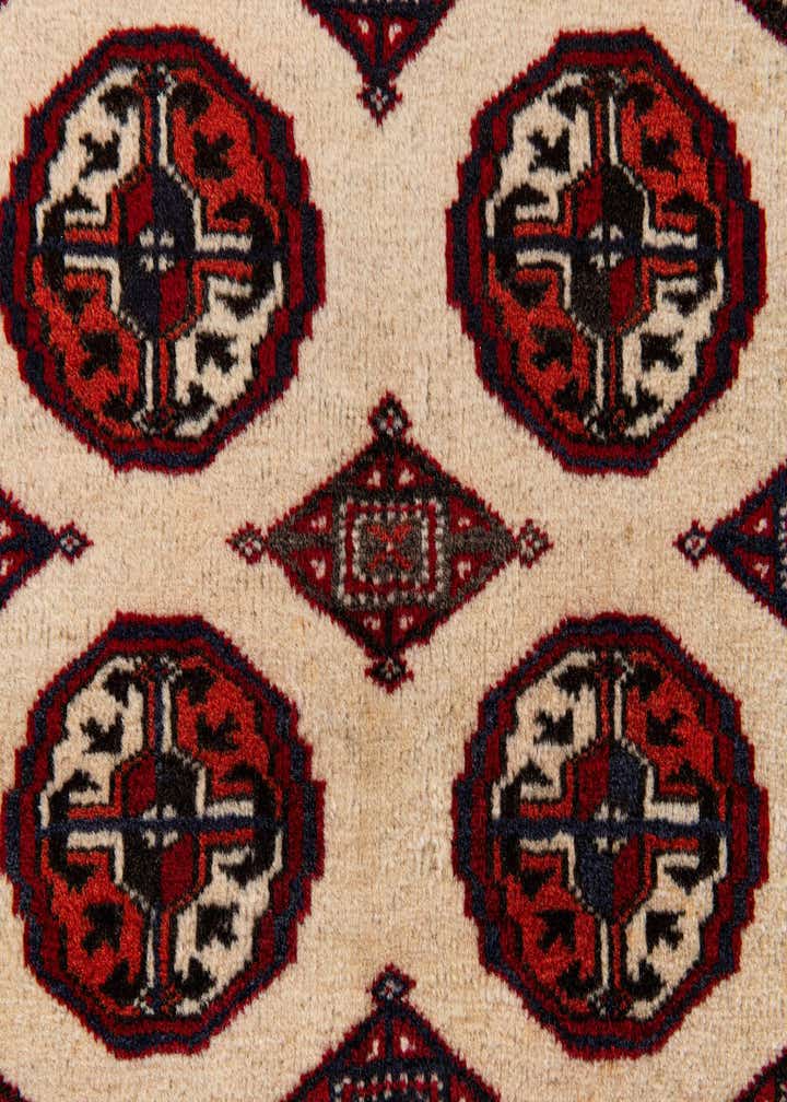 4' 1 x 6' 2 Hand Knotted Torkaman Persian Wool Rug