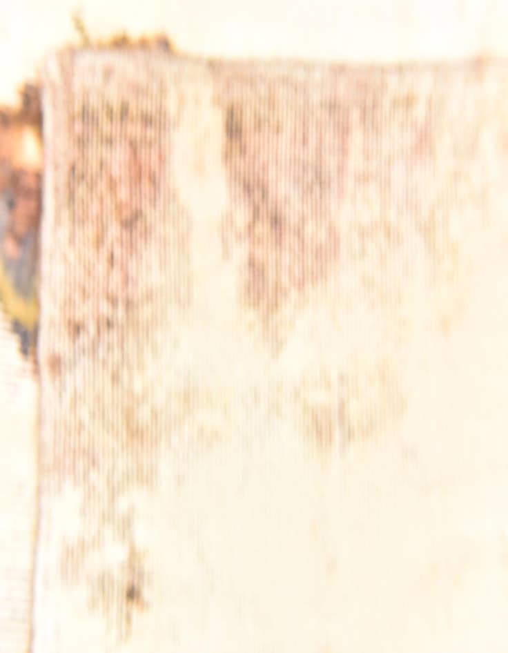 Detail image of 4' x 5' 9  Hand Knotted Ultra Vintage Persian Wool Rug