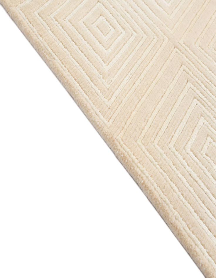 Detail image of 2' 7 x 9' 7  Hand Knotted Darya Wool Runner Rug