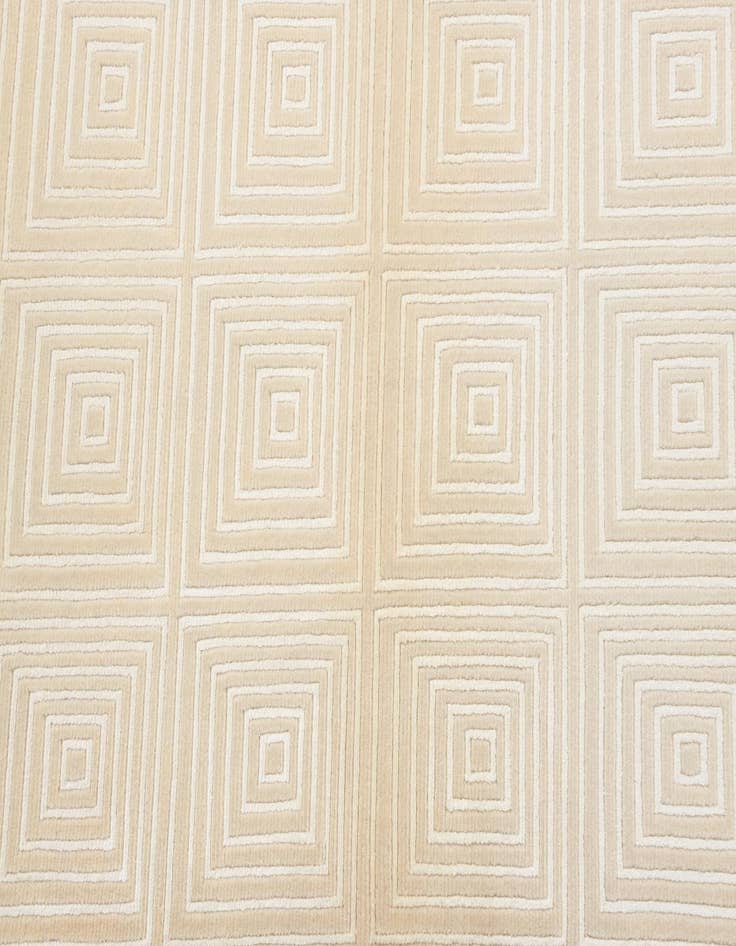 Detail image of 2' 7 x 9' 7  Hand Knotted Darya Wool Runner Rug