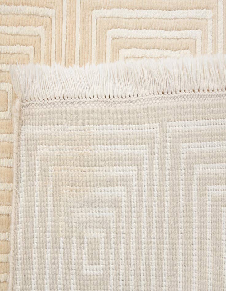 Detail image of 2' 7 x 9' 7  Hand Knotted Darya Wool Runner Rug