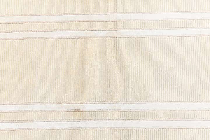 2' 8 x 9' 5 Hand Knotted Darya Wool Runner Rug