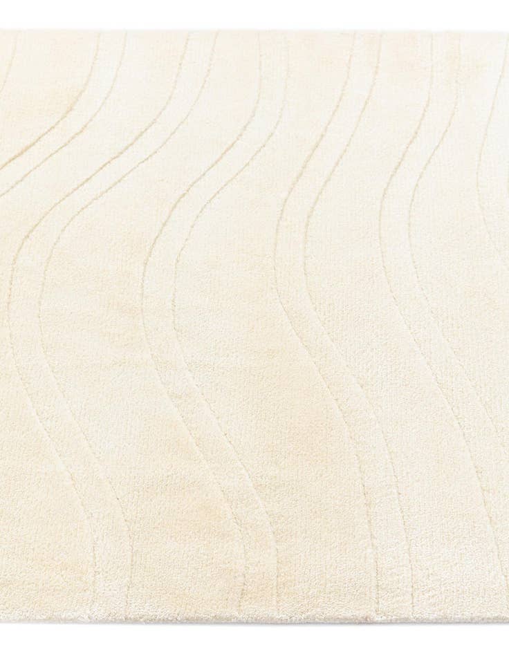 Detail image of 2' 9 x 13' Darya Runner Rug