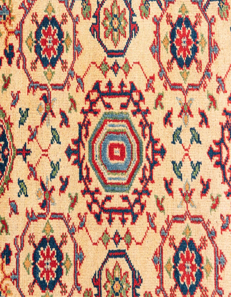 Detail image of 2' 9 x 9' 9  Hand Knotted Kazak Runner Rug