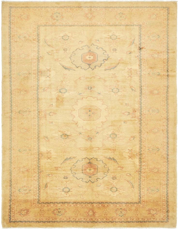 Detail image of 6' 8 x 12' 8 Hand Knotted Meshkabad Persian Wool Runner Rug