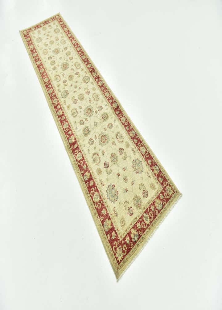 2' 6 x 9' 7 Hand Knotted Peshawar Ziegler Runner Rug