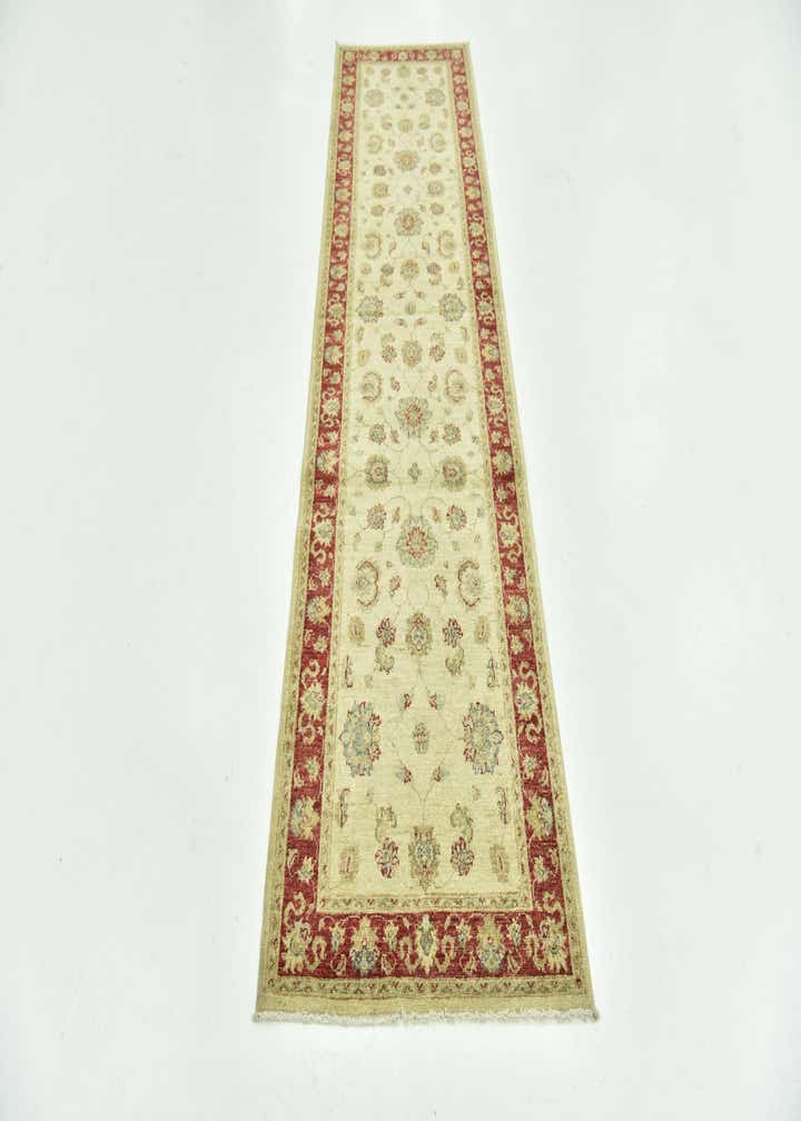 2' 6 x 9' 7 Hand Knotted Peshawar Ziegler Runner Rug